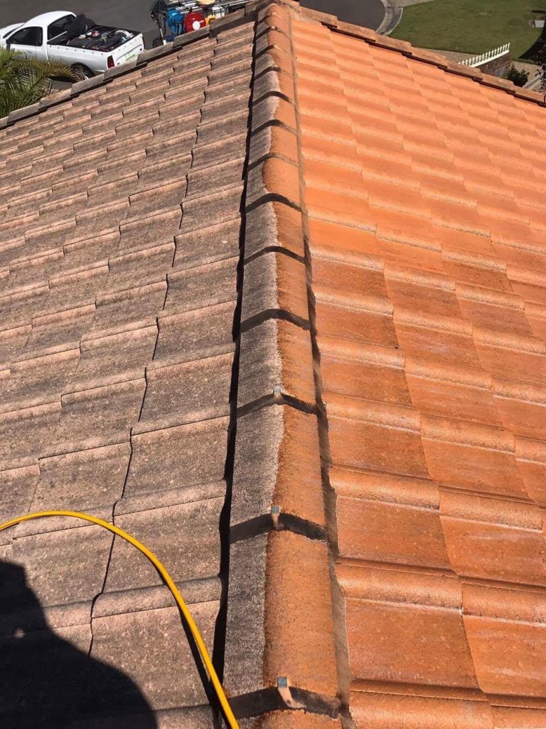 Roof Cleaninf